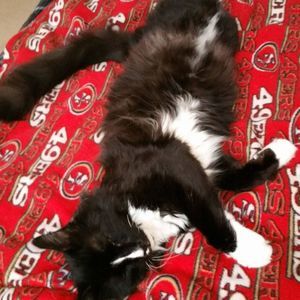 Meet your Posher, Kendra